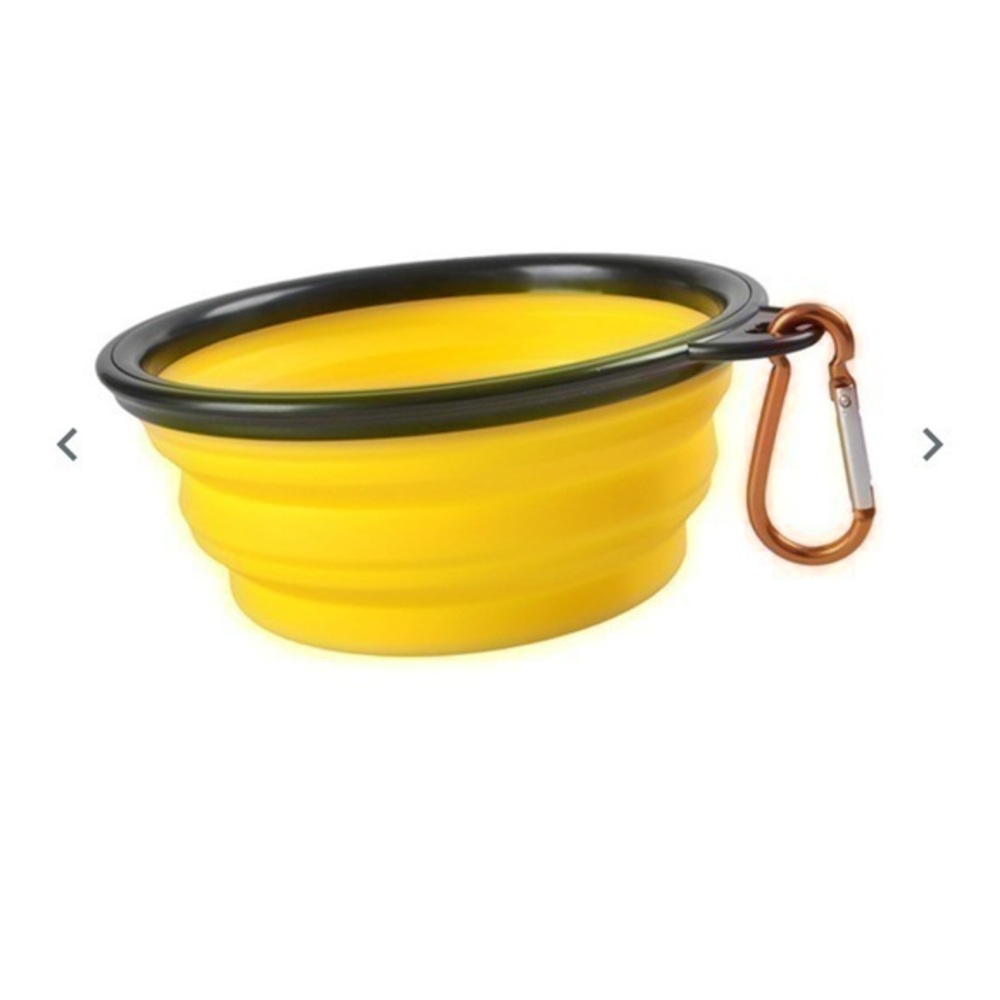 pet bowl